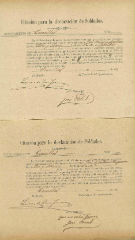 Documento186